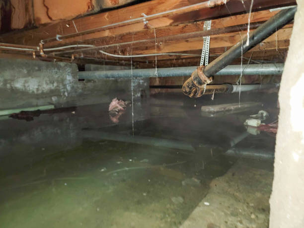 Best Emergency water damage restoration  in Cypress Landing, NC