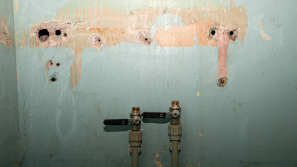 Best Flood damage cleanup  in Cypress Landing, NC